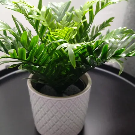 Mennulamia Apartmán Palermo